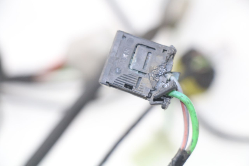photo de WIRE HARNESS PEUGEOT SATELIS 300 (2012 - 2015)