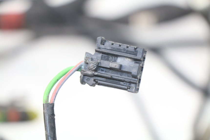 photo de WIRE HARNESS PEUGEOT SATELIS 300 (2012 - 2015)