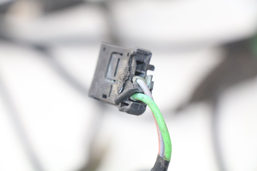 photo de WIRE HARNESS PEUGEOT SATELIS 300 (2012 - 2015)