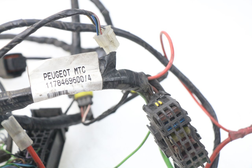 photo de WIRE HARNESS PEUGEOT SATELIS 300 (2012 - 2015)