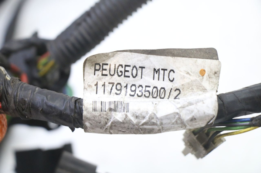 photo de WIRE HARNESS PEUGEOT SATELIS 125 (2013 - 2018)