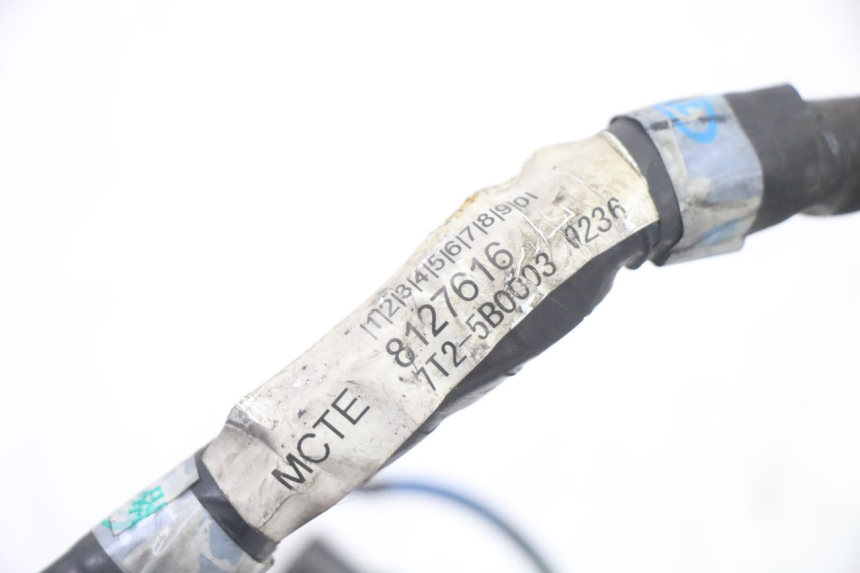 photo de WIRE HARNESS APRILIA SCARABEO GT TOURING 125 (1999 - 2005)