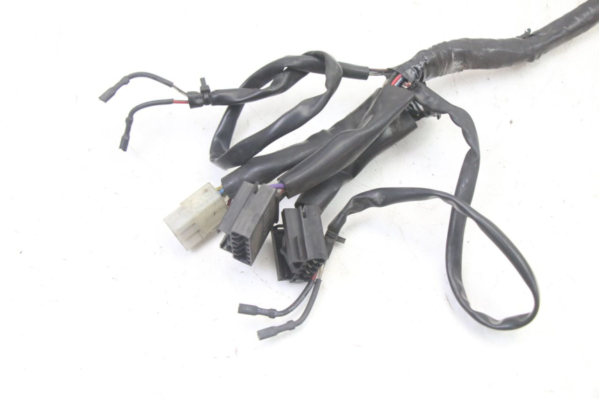 photo de WIRE HARNESS APRILIA SCARABEO GT TOURING 125 (1999 - 2005)
