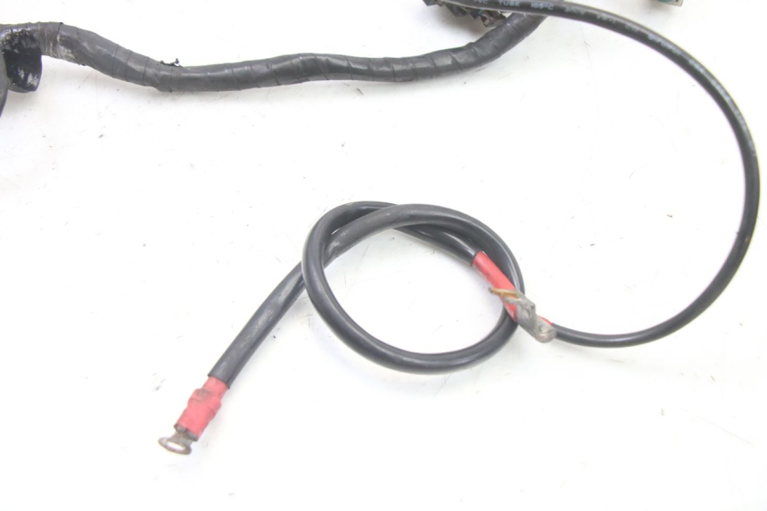 photo de WIRE HARNESS APRILIA SCARABEO GT TOURING 125 (1999 - 2005)