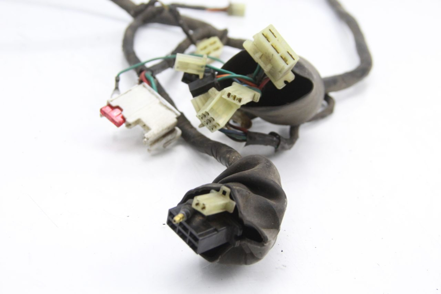 photo de WIRE HARNESS HONDA SJ BALI 50 (1996 - 1999)