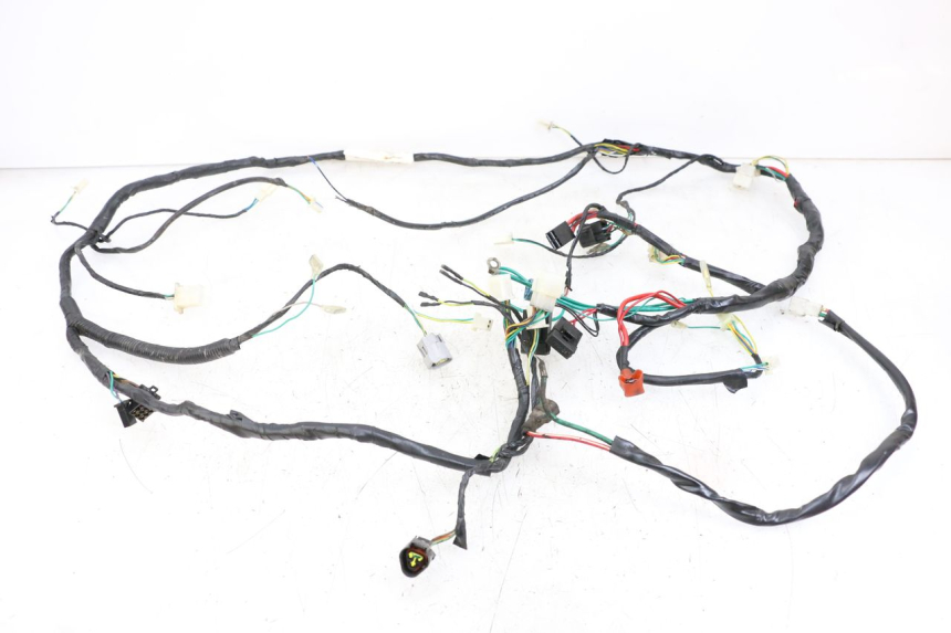 photo de WIRE HARNESS PEUGEOT SPEEDFIGHT 4 2T 50 (2015 - 2019)