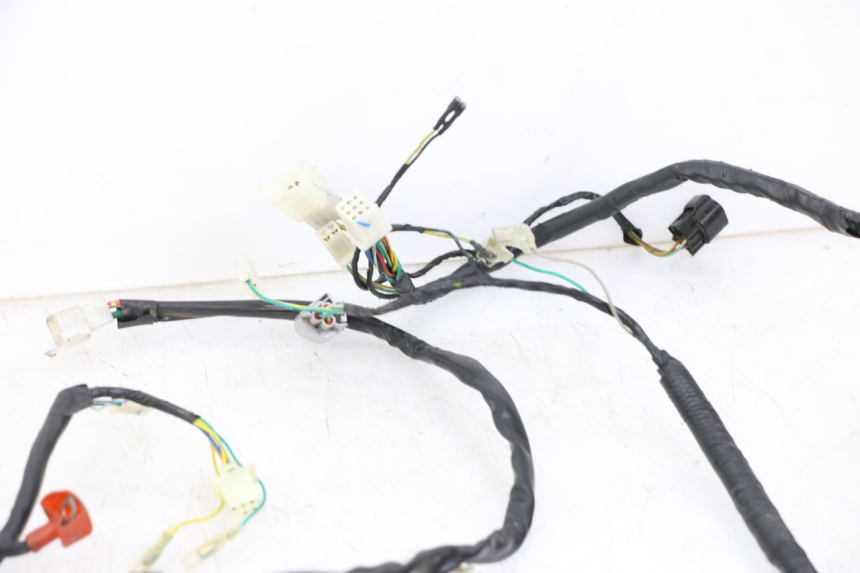 photo de WIRE HARNESS PEUGEOT SPEEDFIGHT 4 2T 50 (2015 - 2019)
