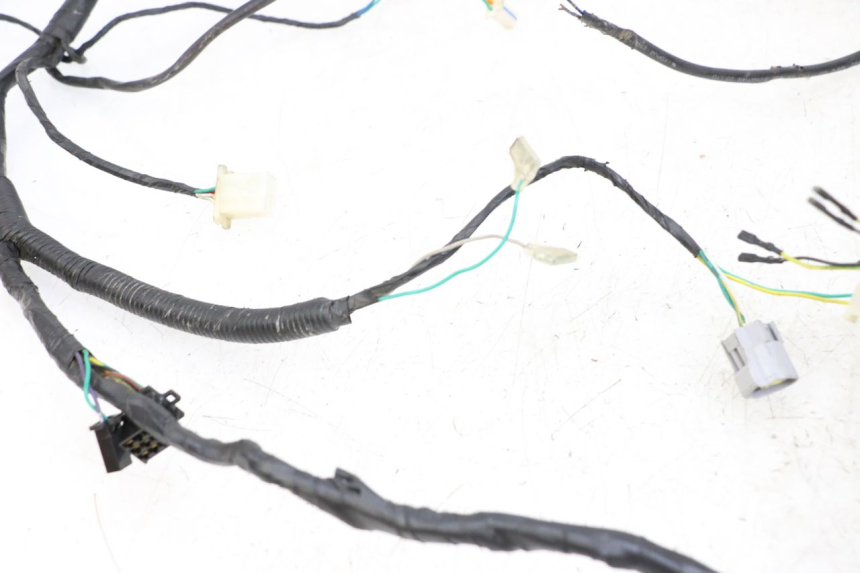 photo de WIRE HARNESS PEUGEOT SPEEDFIGHT 4 2T 50 (2015 - 2019)