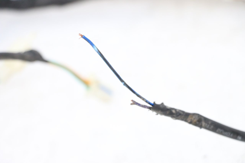 photo de WIRE HARNESS PEUGEOT SPEEDFIGHT 4 2T 50 (2015 - 2019)
