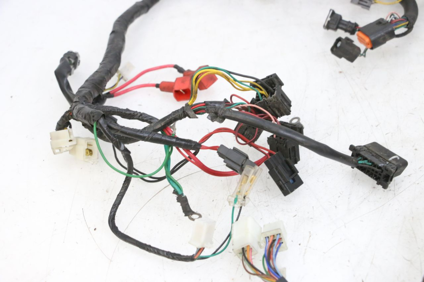 photo de WIRE HARNESS PEUGEOT SPEEDFIGHT 4 4T EFI 50 (2021 - 2025) - High-resolution close-up