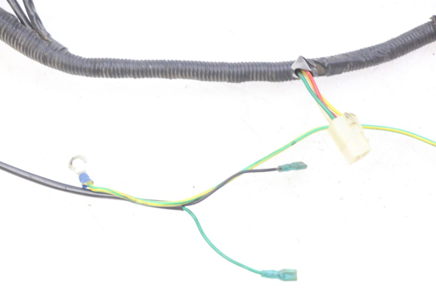photo de WIRING HARNESS CHINESE QUAD SPEEDY DELUXE 125