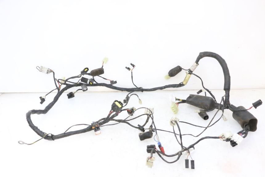 photo de WIRE HARNESS TRIUMPH SPRINT 900 (1995 - 1998)