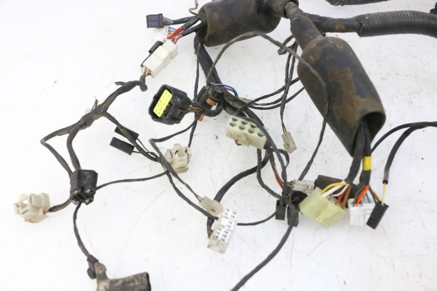 photo de WIRE HARNESS TRIUMPH SPRINT 900 (1995 - 1998)