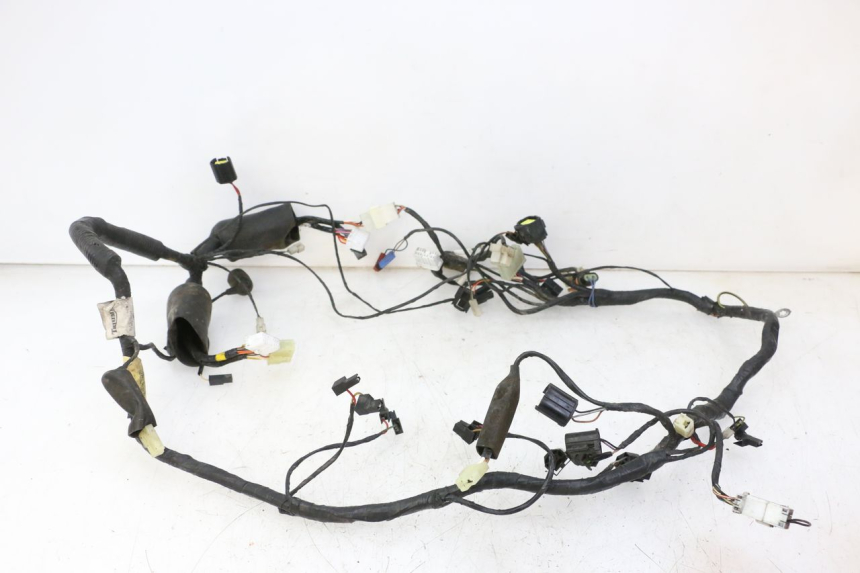 photo de WIRE HARNESS TRIUMPH SPRINT 900 (1995 - 1998)