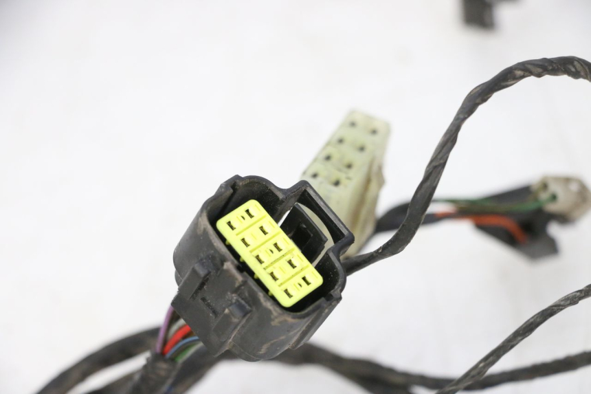 photo de WIRE HARNESS TRIUMPH SPRINT 900 (1995 - 1998)