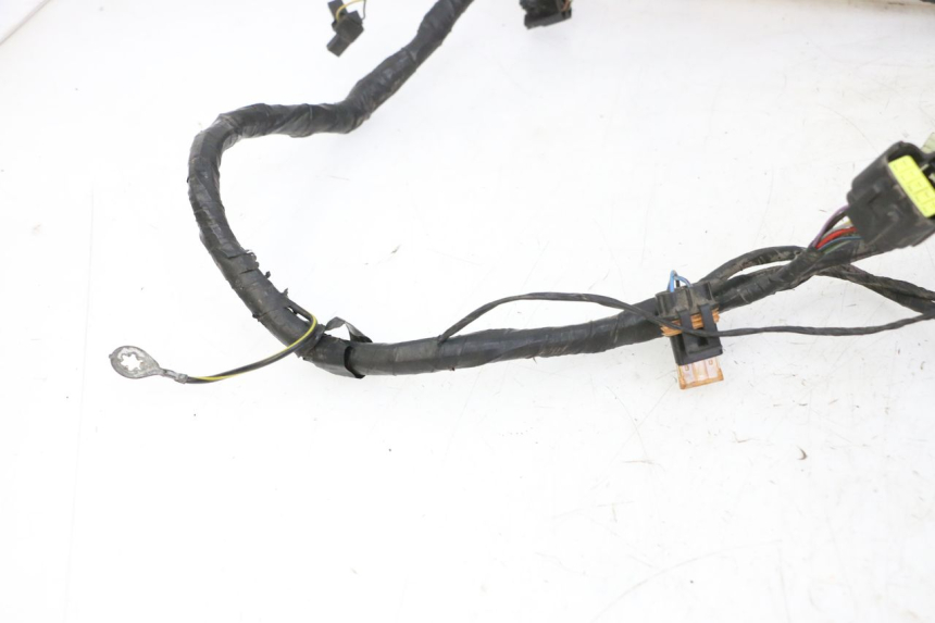 photo de WIRE HARNESS TRIUMPH SPRINT 900 (1995 - 1998)