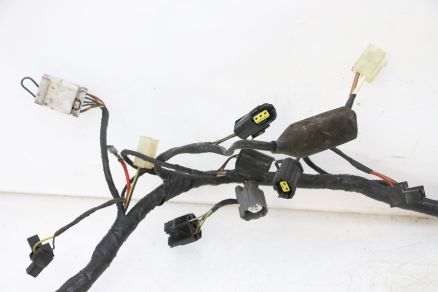 photo de WIRE HARNESS TRIUMPH SPRINT 900 (1995 - 1998)