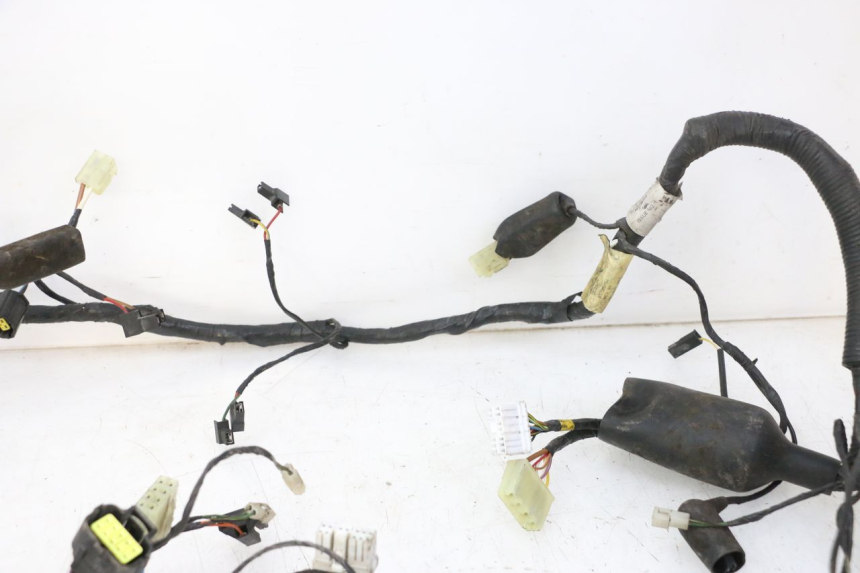 photo de WIRE HARNESS TRIUMPH SPRINT 900 (1995 - 1998)
