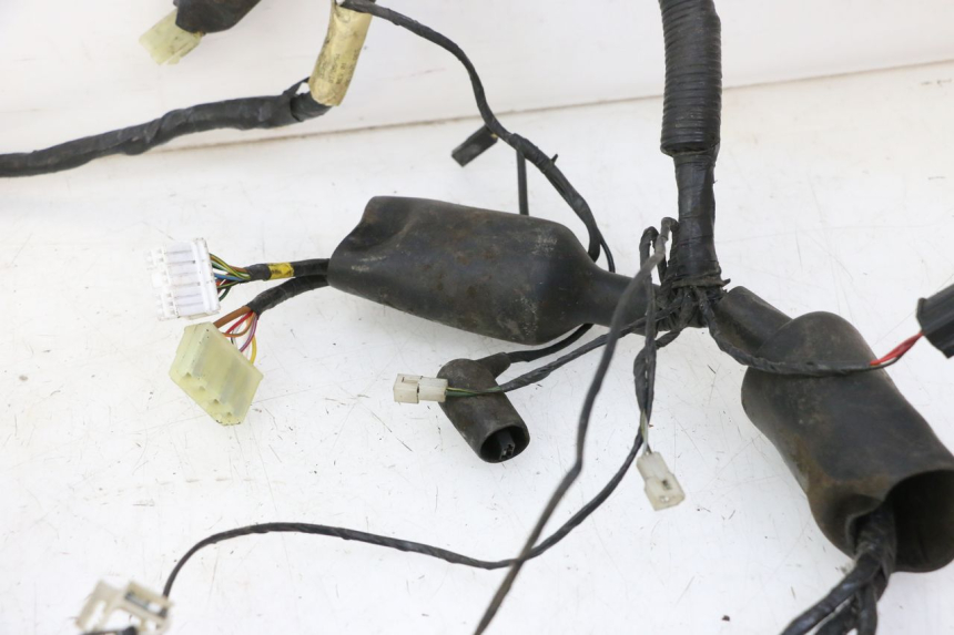 photo de WIRE HARNESS TRIUMPH SPRINT 900 (1995 - 1998)
