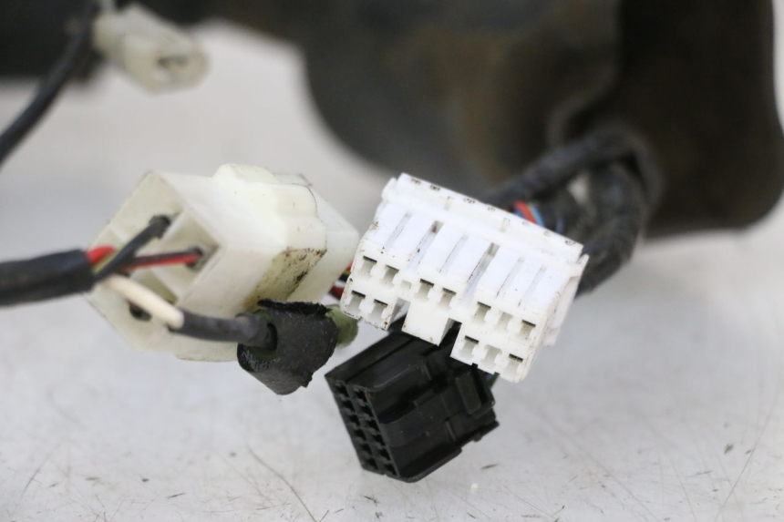 photo de WIRE HARNESS TRIUMPH SPRINT 900 (1995 - 1998)