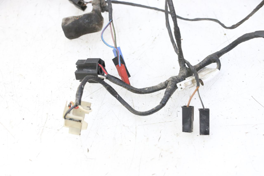 photo de WIRE HARNESS TRIUMPH SPRINT 900 (1995 - 1998)