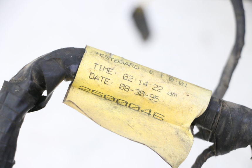 photo de WIRE HARNESS TRIUMPH SPRINT 900 (1995 - 1998)