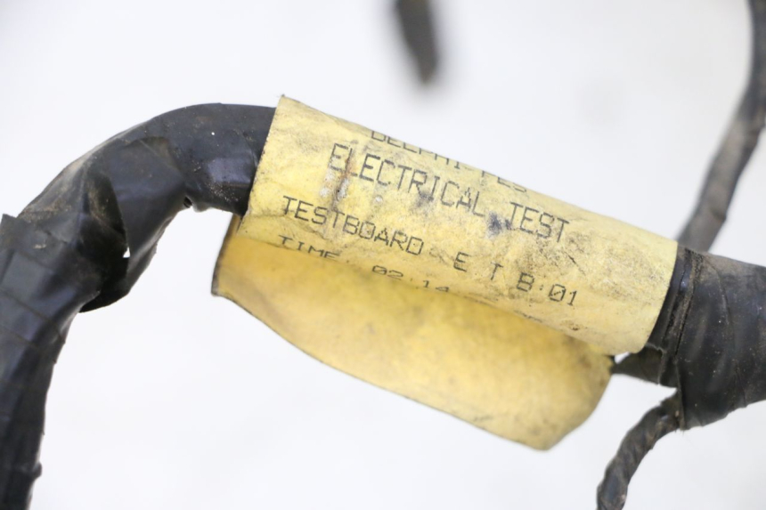 photo de WIRE HARNESS TRIUMPH SPRINT 900 (1995 - 1998)