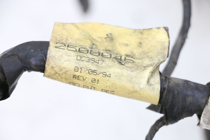 photo de WIRE HARNESS TRIUMPH SPRINT 900 (1995 - 1998)