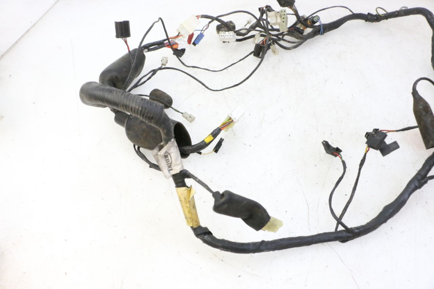 photo de WIRE HARNESS TRIUMPH SPRINT 900 (1995 - 1998)