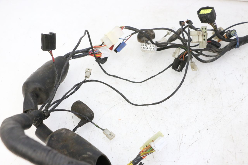 photo de WIRE HARNESS TRIUMPH SPRINT 900 (1995 - 1998)