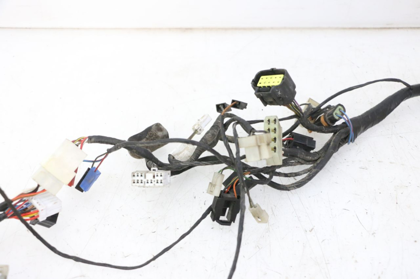 photo de WIRE HARNESS TRIUMPH SPRINT 900 (1995 - 1998)