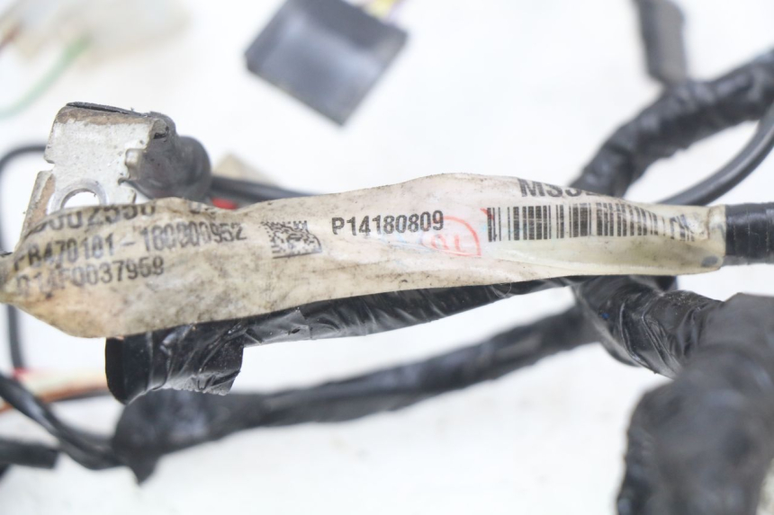 photo de WIRING HARNESS APRILIA SR 2T 50 (2018 - 2022)