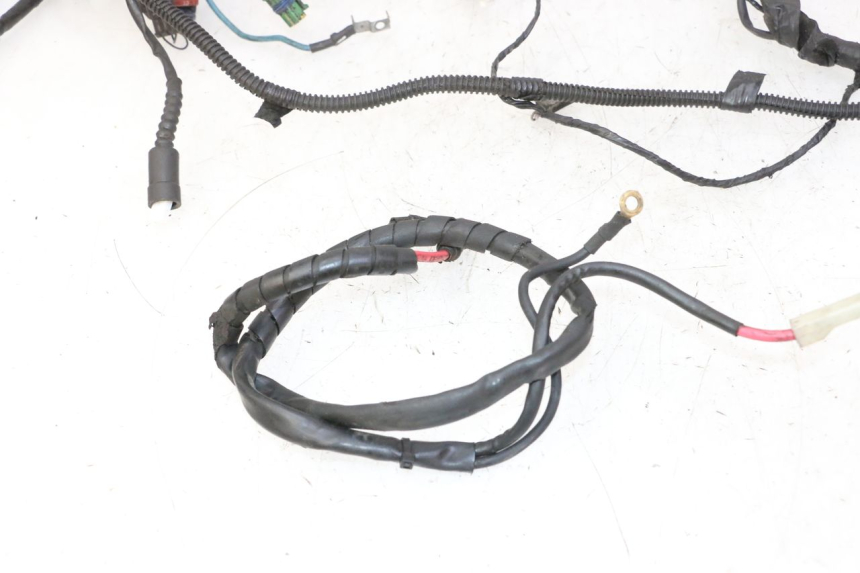 photo de WIRE HARNESS APRILIA SR R 2T LC 50 (2018 - 2021)