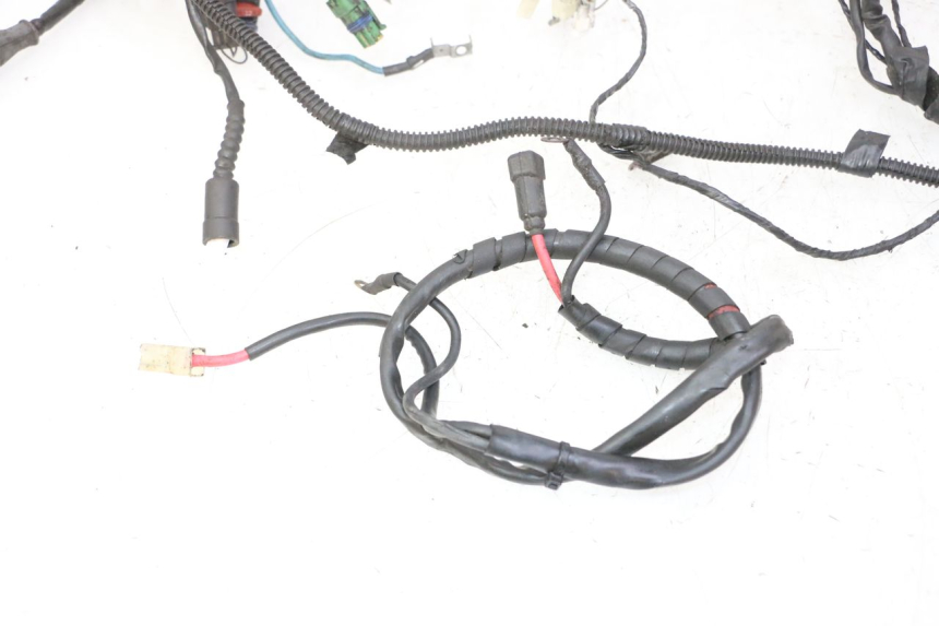 photo de WIRE HARNESS APRILIA SR R 2T LC 50 (2018 - 2021)