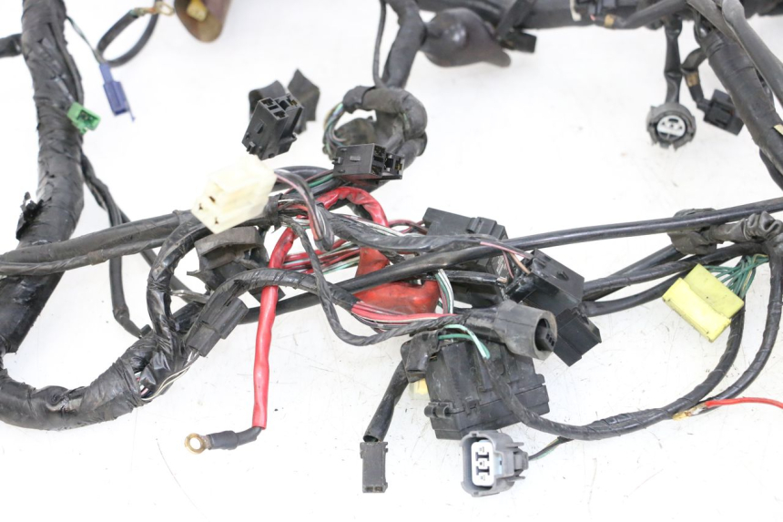 photo de WIRE HARNESS HONDA ST PAN EUROPEAN 1300 (2002 - 2013)