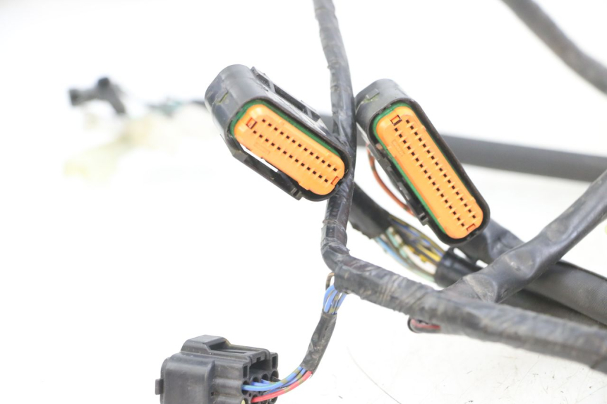 photo de WIRE HARNESS SUZUKI GSX F GSXF 650 (2007 - 2015)