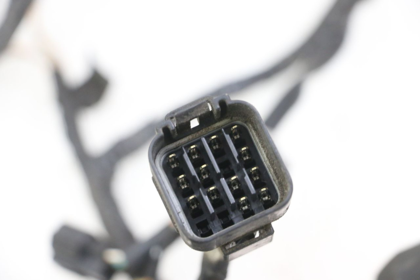 photo de WIRE HARNESS SUZUKI GSX F GSXF 650 (2007 - 2015)