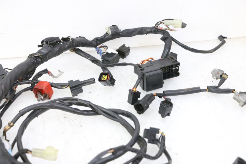 photo de WIRE HARNESS SUZUKI SV S 650 (2003 - 2009)