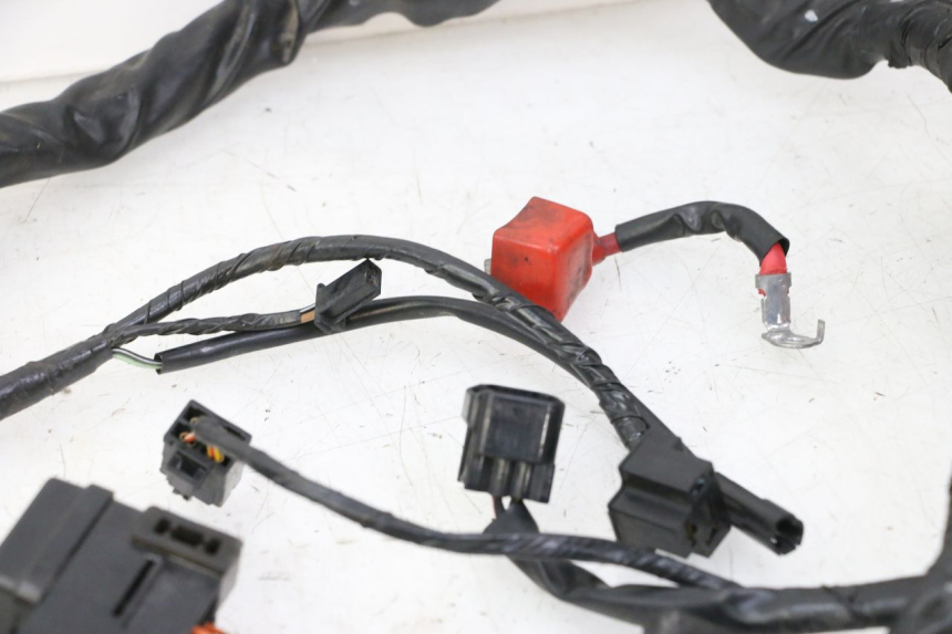 photo de WIRE HARNESS SUZUKI SV S 650 (2003 - 2009)