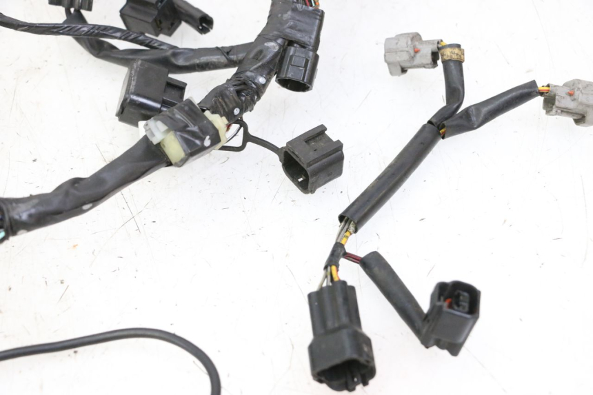 photo de WIRE HARNESS SUZUKI SV S 650 (2003 - 2009)