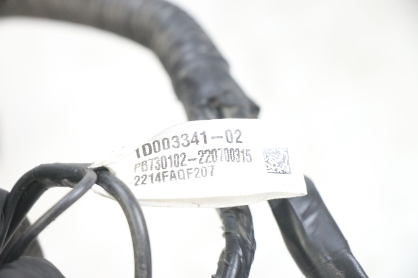 photo de WIRING HARNESS APRILIA SXR 50 (2021 - 2023)