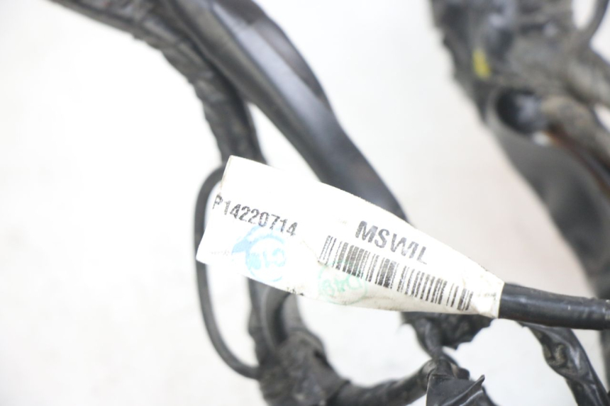 photo de WIRING HARNESS APRILIA SXR 50 (2021 - 2023)
