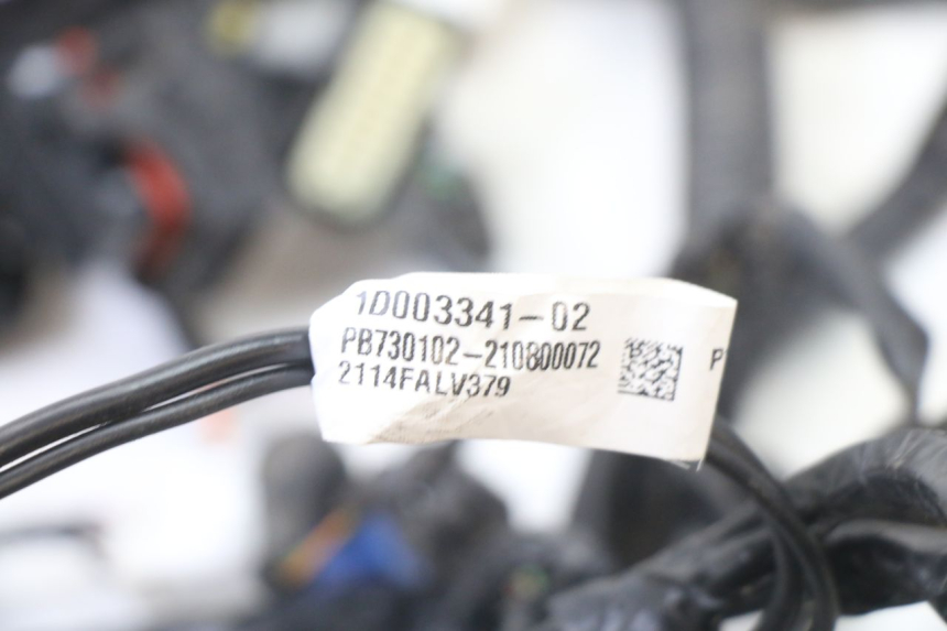 photo de WIRING HARNESS APRILIA SXR 50 (2021 - 2023)