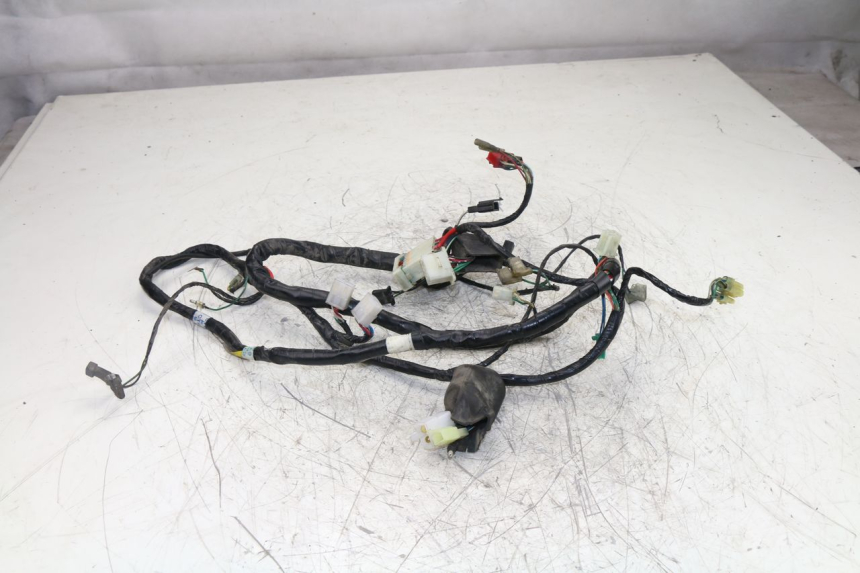 photo de WIRE HARNESS SYM JOYRIDE EVO 125 (2009 - 2016)