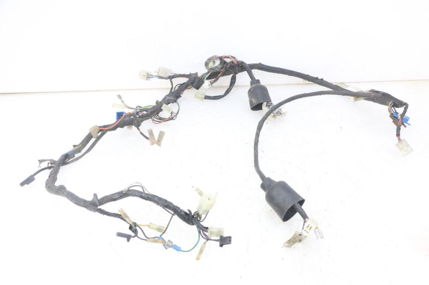 photo de WIRE HARNESS YAMAHA TDR DELTABOX 125 (1993 - 2003)