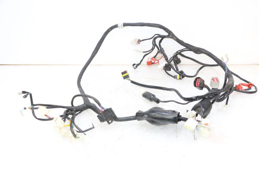 photo de WIRE HARNESS NECO TEMPO 4T 50 (2022 - 2026) - Main view