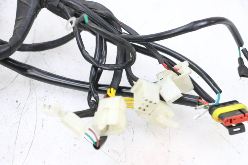photo de WIRE HARNESS NECO TEMPO 4T 50 (2022 - 2026) - Zoom on usage condition