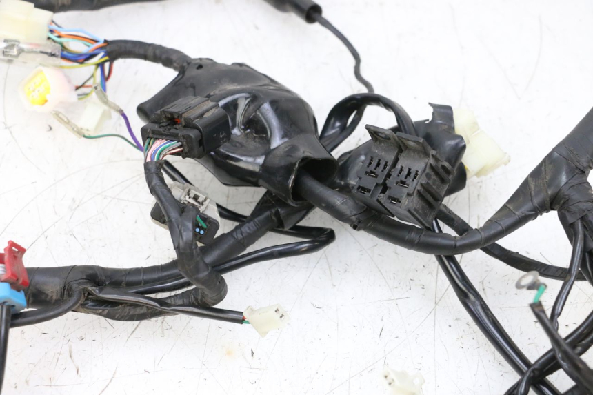 photo de WIRE HARNESS NECO TEMPO 4T 50 (2022 - 2026) - Alternative perspective