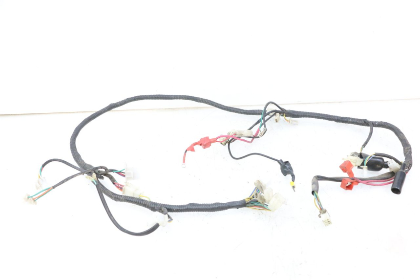 photo de WIRING HARNESS TNT MOTOR ROMA 10' 2T 50 (2011 - 2018)
