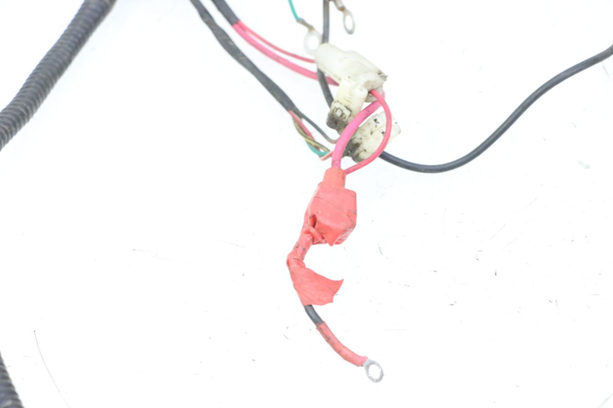 photo de WIRING HARNESS TNT MOTOR ROMA 10' 2T 50 (2011 - 2018)